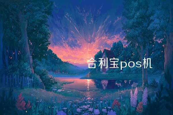 打开小实体商户的大门——合利宝POS机的魅力