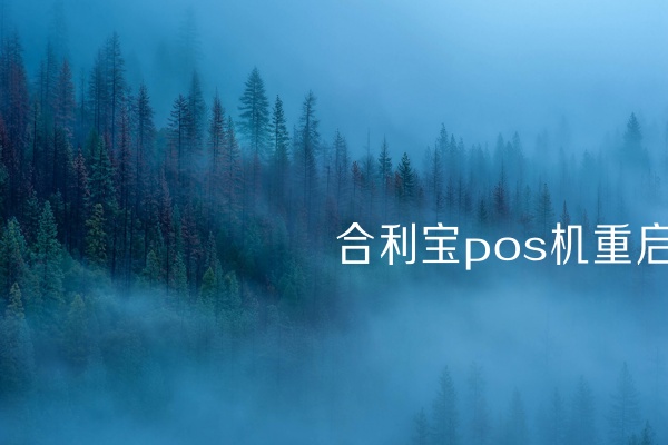 了解如何正确重启合利宝POS机 