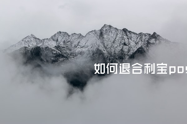 退出合利宝POS机：一个空虚的休息