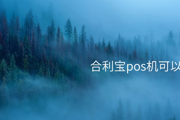 合利宝POS机：有助于收款的重要伙伴