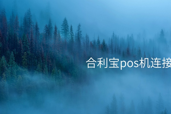 解决合利宝POS机连接不上的有效技术方案