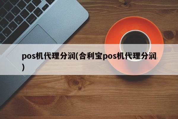 合利宝pos机***理后台_武汉pos机***理加盟_银联pos机后台