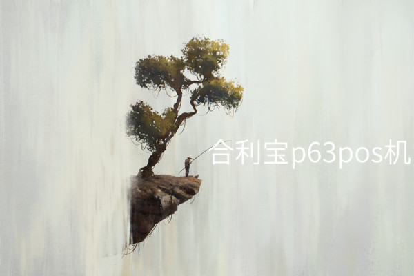 史上最佳POS机——合利宝P63 