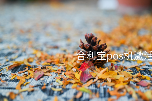 合利宝Pos机激活手续费299元，注意节约费用