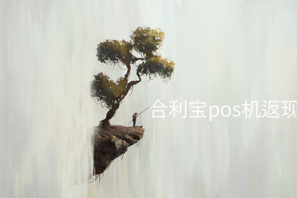 合利宝pos机返现