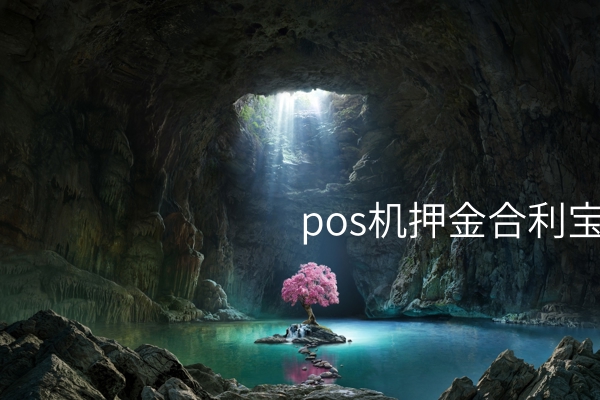 pos机押金合利宝，支付领域成为重要发展动力